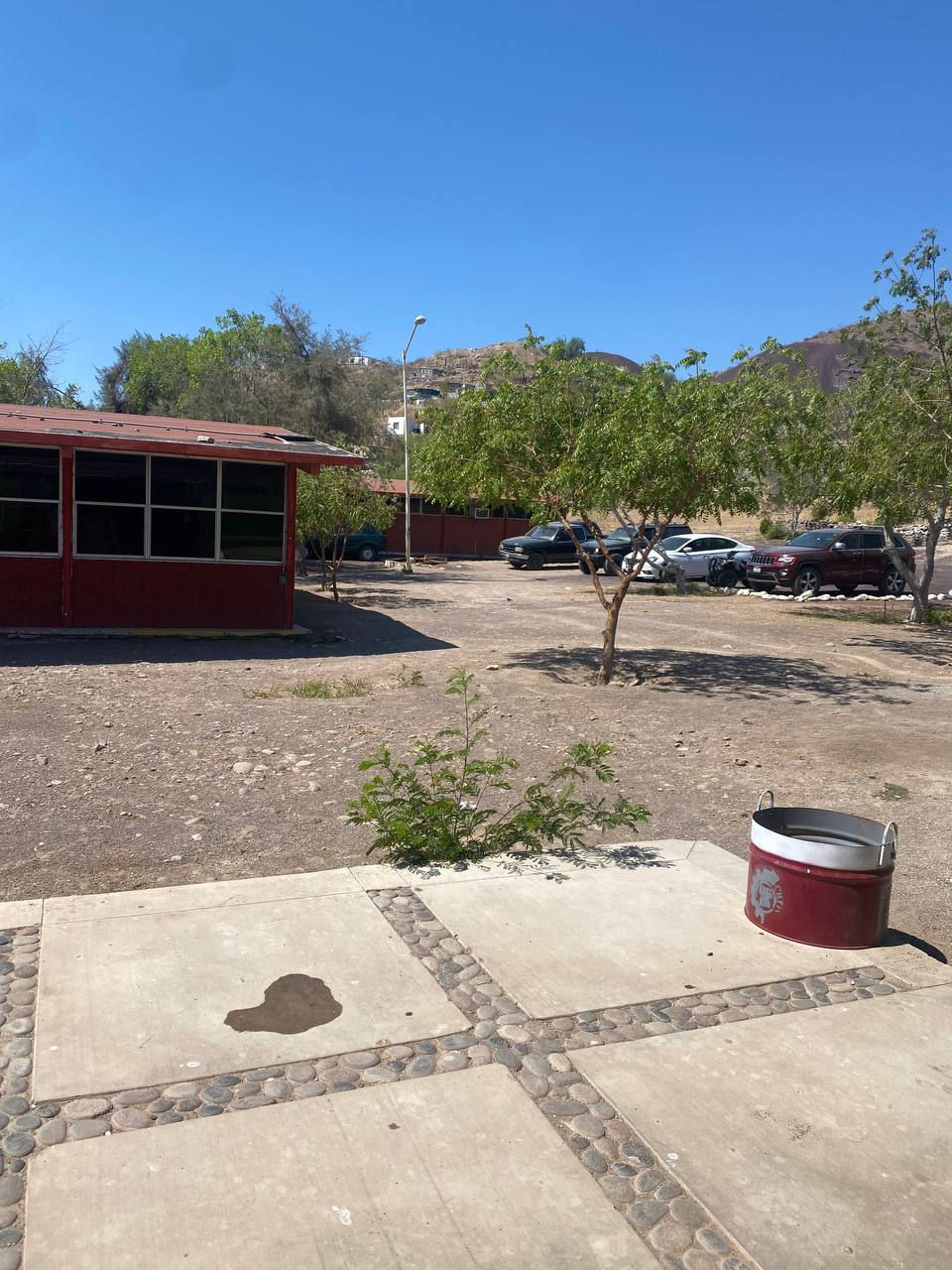 photo_5141148361406131338_y