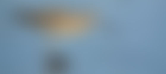 July-Sept 2022: Curlew new and views