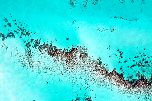 DJI_0525.jpeg