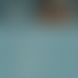 Invited lecture | Prof. Herzig