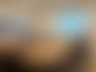 Methodological training workshop | Dr. Tsal