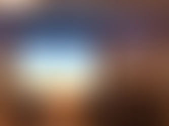 Participation in a conference | Dr. Chizzolini