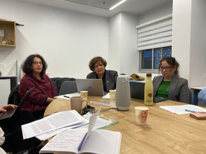 FemSMed Team Members' Individual Meetings with Prof. Serena Di Nepi at TAU