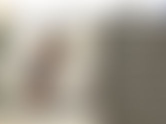 Guest Lecture | Prof. Paola Tartakoff