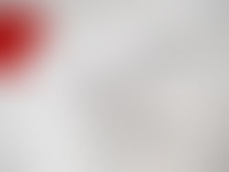 Apostille Certificate Explained: What You Need to Know About Apostille Certificates