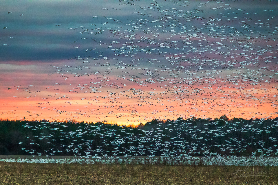 Snow Globe showcases first in flight