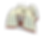 New Kohinbo - xxx.png