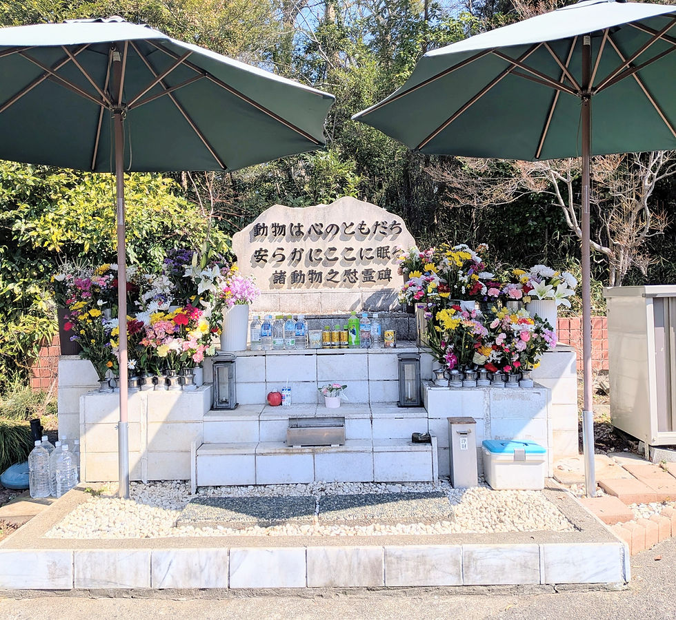 鶯が鳴き始めました