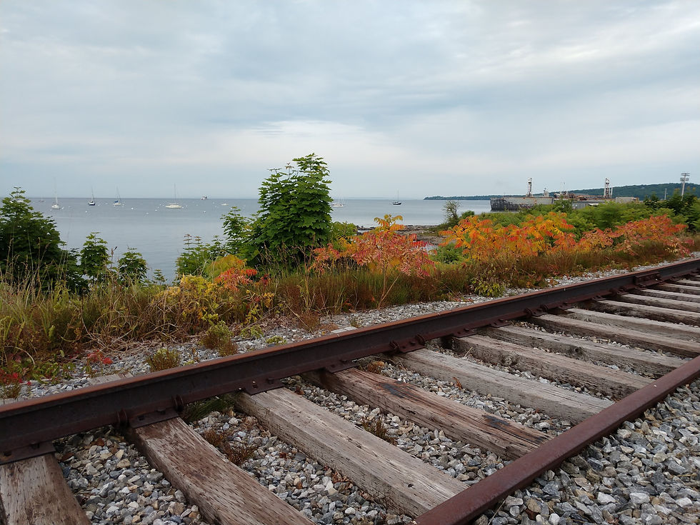train tracks surrounded by some red-orange foliage overlooking Rockland harbor