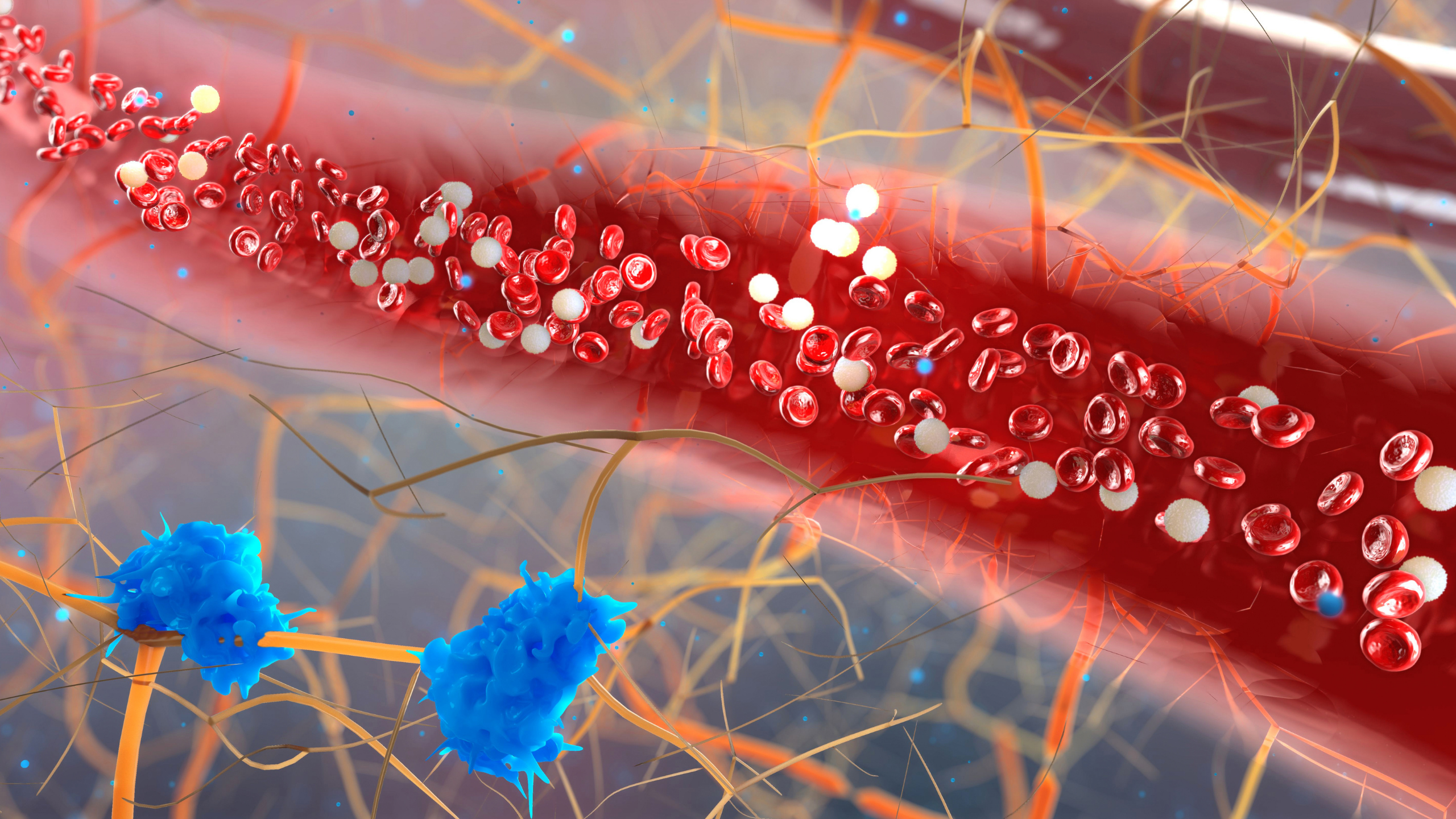 What’s Going Wrong? (Blood Cells) Pt.2