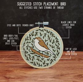 embroidery kit bird suggested stitch placement.jpeg