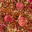Thumbnail: Rooibos Candy