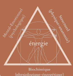 santé par le toucher kinésiologie royan.png