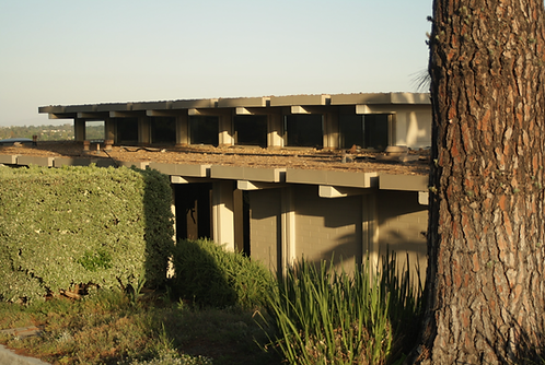 Screenshot 2025-12-11 at 1.18.28 PM.png