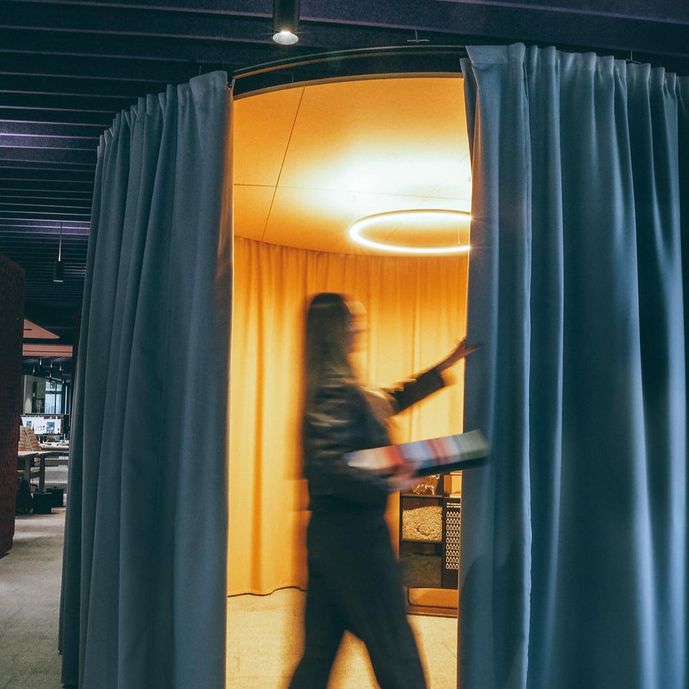 Noren Acoustic Curtain 2