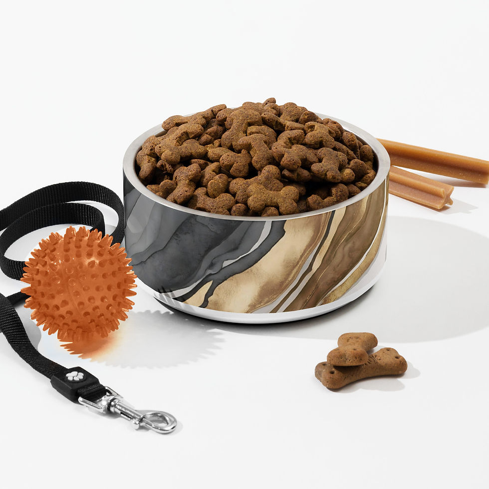 Stainless steel pet bowl with Eclipse Veins Marble design filled with kibble