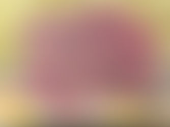 Hand-painted watercolor and ink illustration of a rare magenta flower blooming between rocks and golden moss, symbolizing strength and resilience.