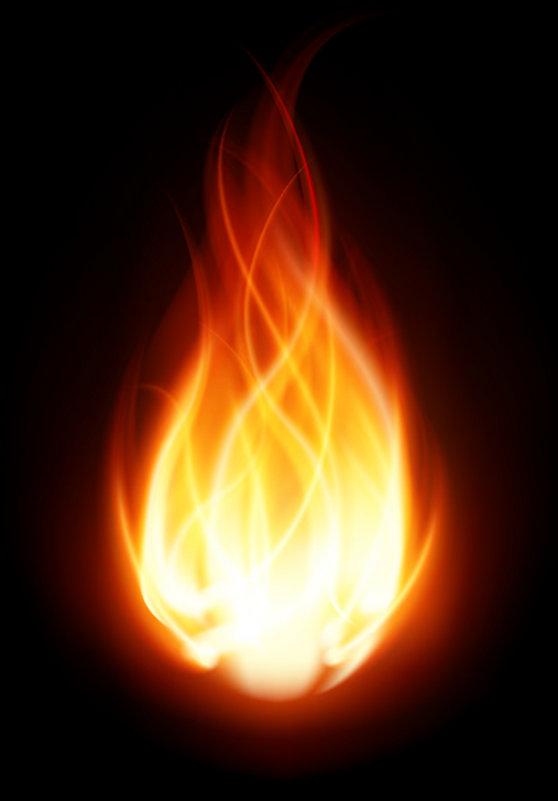 Ignite Pic.png