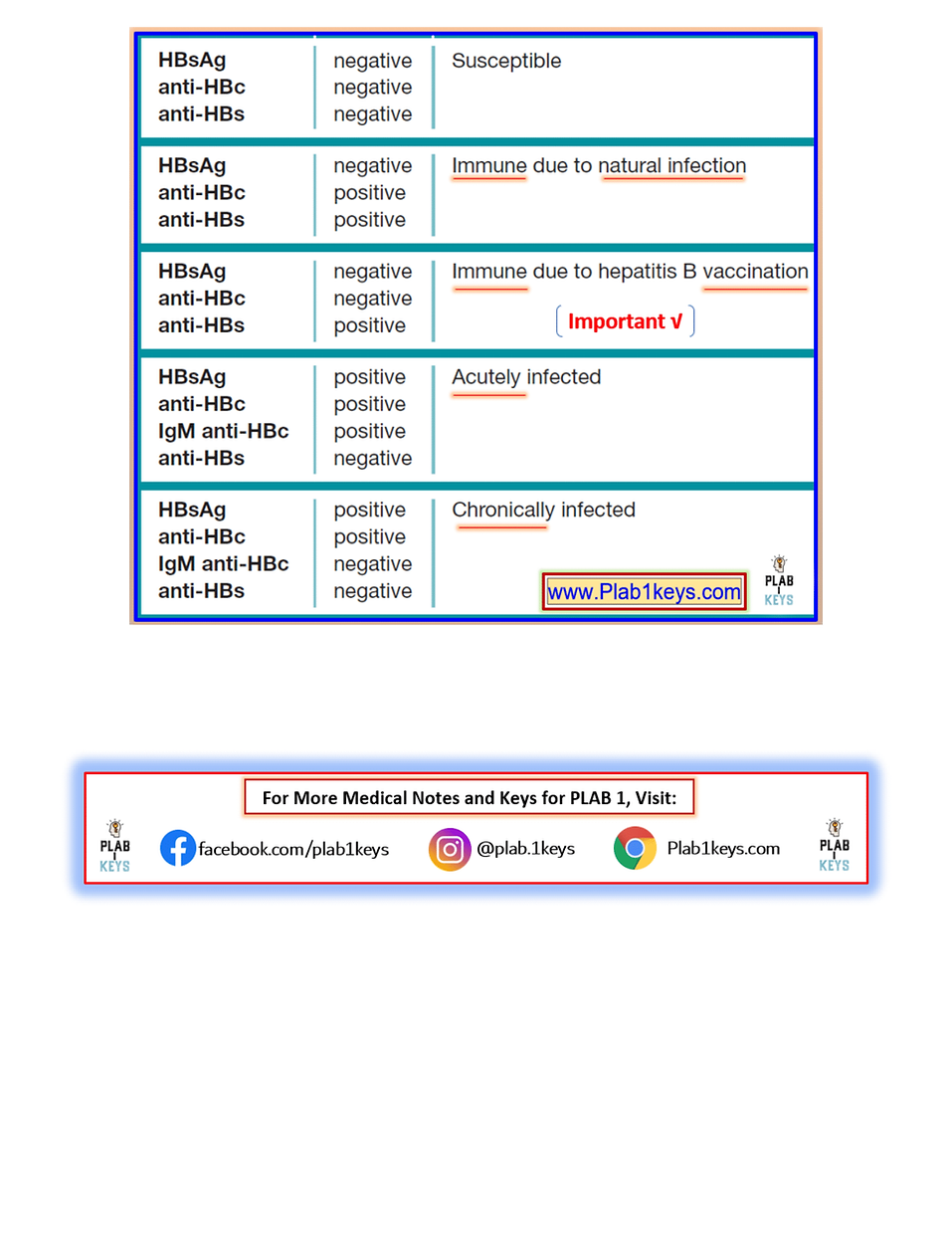 PM_Hepatitis B Serology-1.png