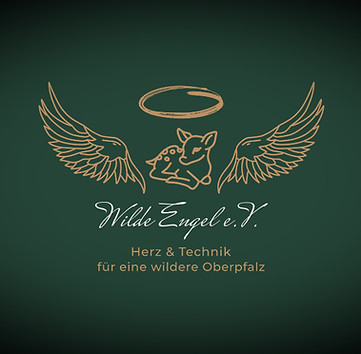 Logo Wilde Engel e.V.