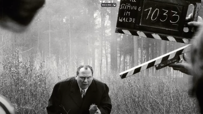 Es geschah am helllichten Tag (1958)