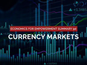 9d: Foreign Exchange (Currency) Markets