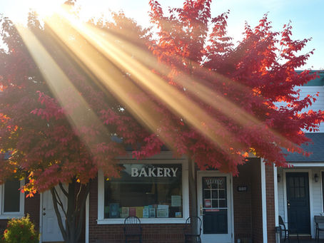 Morning bakery visit with a good friend.