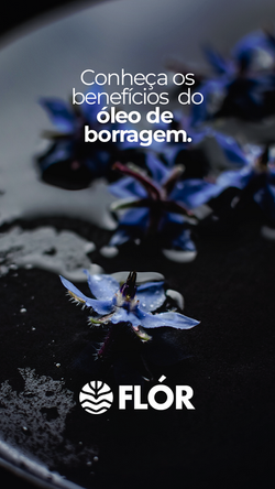 Cópia de stories  2