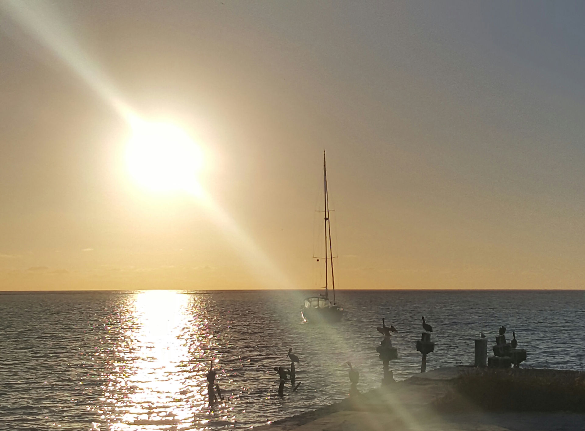 Sunrise