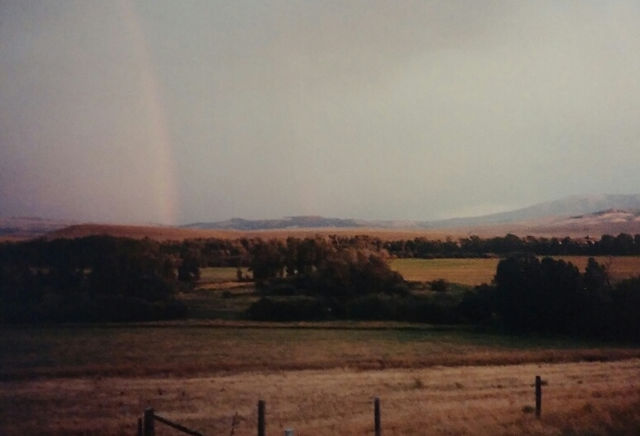 A rainbow