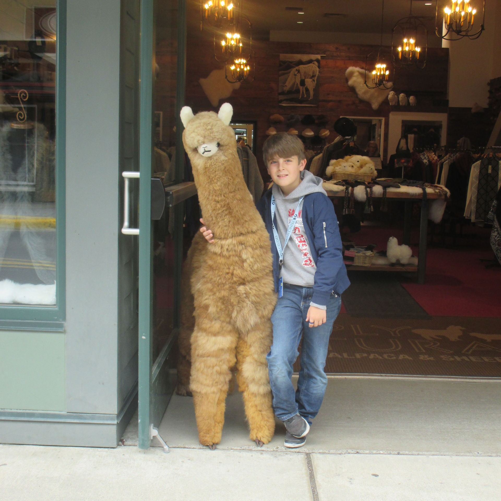 The Llama