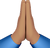 person-with-folded-hands_emoji-modifier-