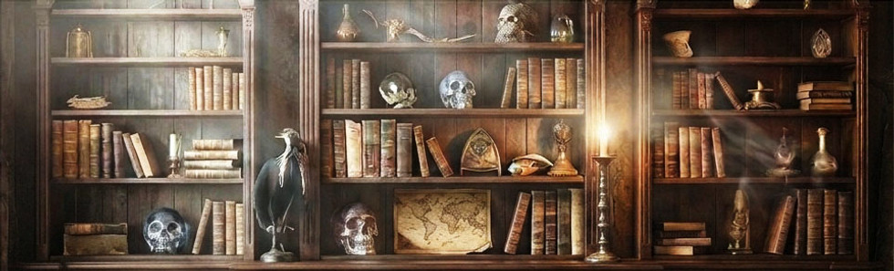 Book_Case_HC_1.jpg