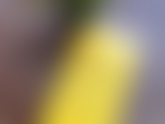 Lecture spi / couple : Familiaris Consortio