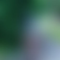 Slideshow talking about what is social media