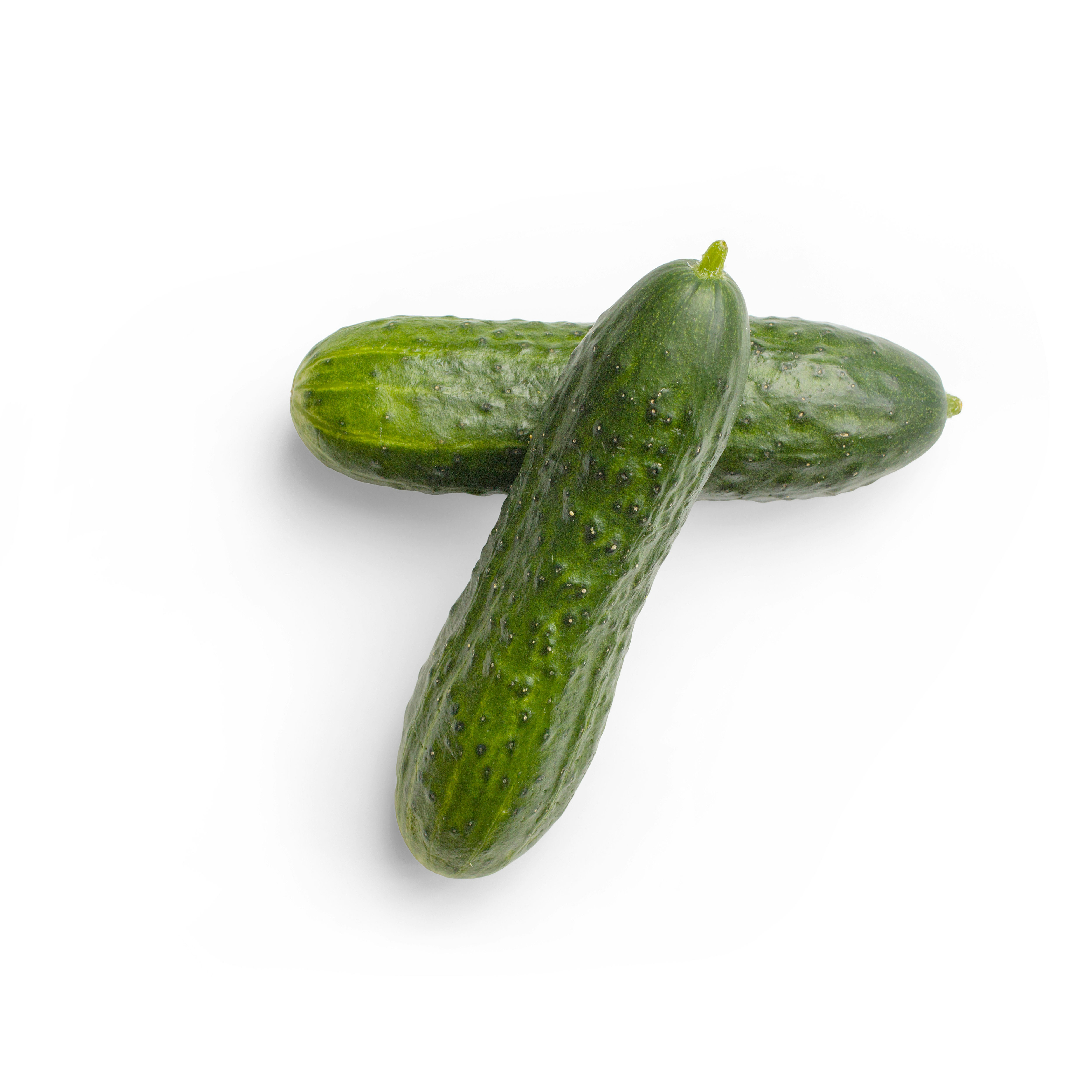 Cucumber - Japanese
