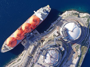 Neshes Global En590 Supplier