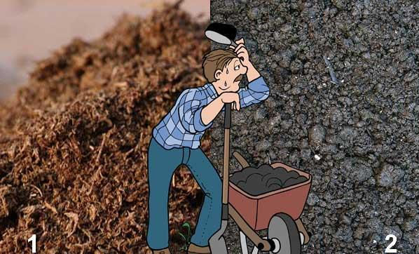 Что лучше плодородный грунт или чернозем? В чем отличие?