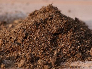 Верховой торф или низинный, что лучше?