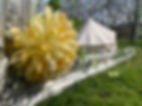 IMG_1623.JPEG