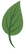 small little organic leaf