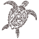 Trazo-de-Tortuga-en-Color-Cafe.png