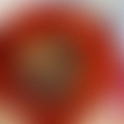 Bœuf aux oignons et aux cinq épices