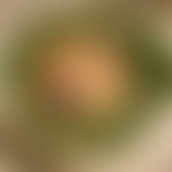 Salade de pissenlits, pommes de terre, œuf et lardons