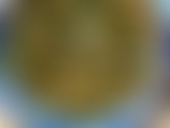 Soupe à la scarole et haricots blancs    