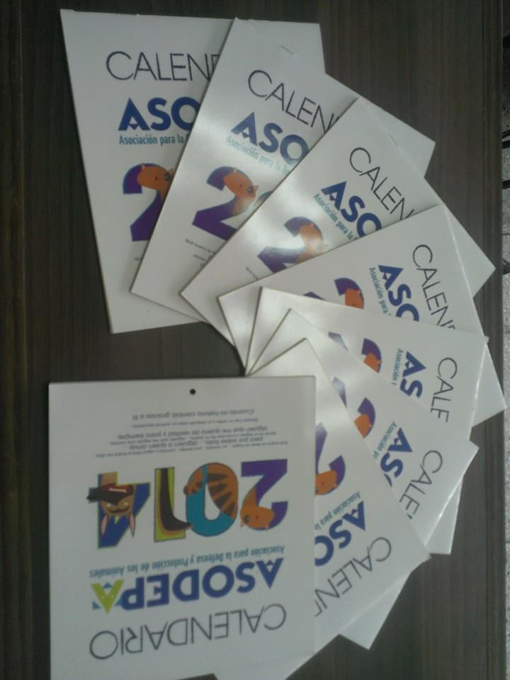 Calendario ASODEPA