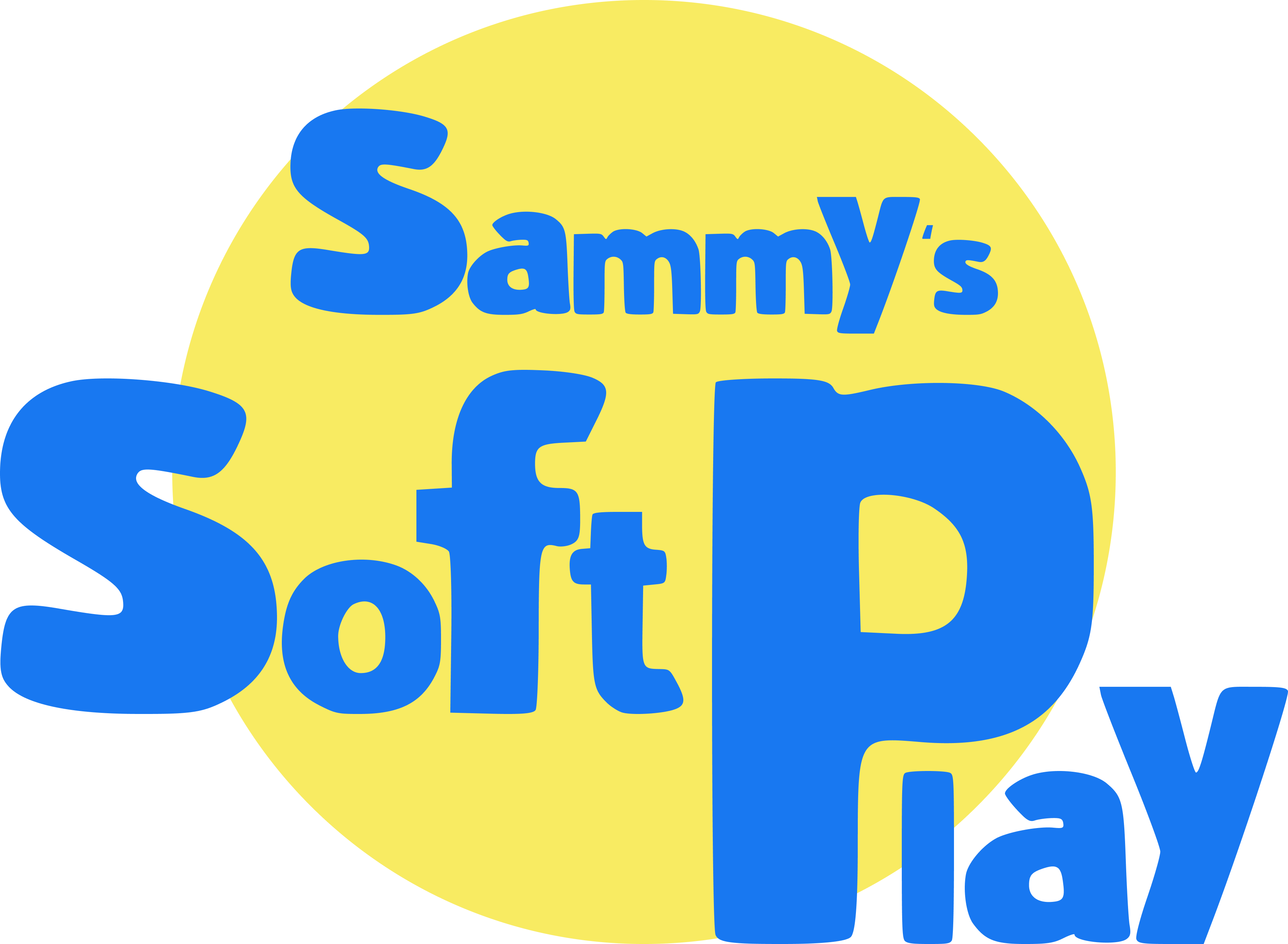 Sammy's Soft Play Queen's Park