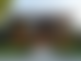 Exploring Chicago's Premium Home Builders