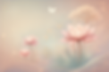 E4B6385F-3370-4AAA-BECE-401578837302.PNG