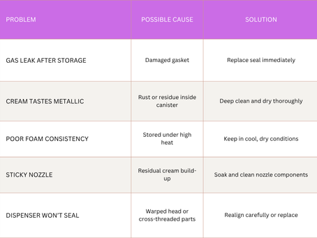 Store and Maintain Whipped Cream Dispenser
